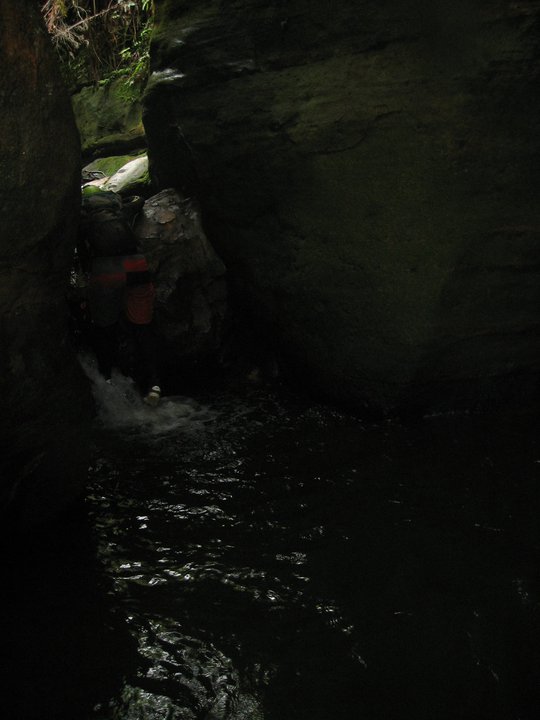 IMG 008