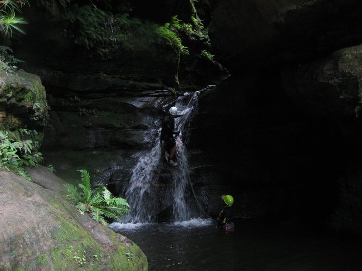 IMG 014