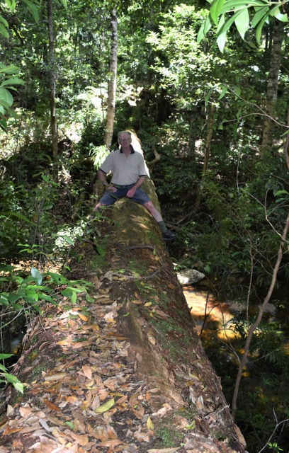 12 Walumarra Trek
