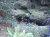 IMG 001