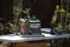 IMG 0 8077
